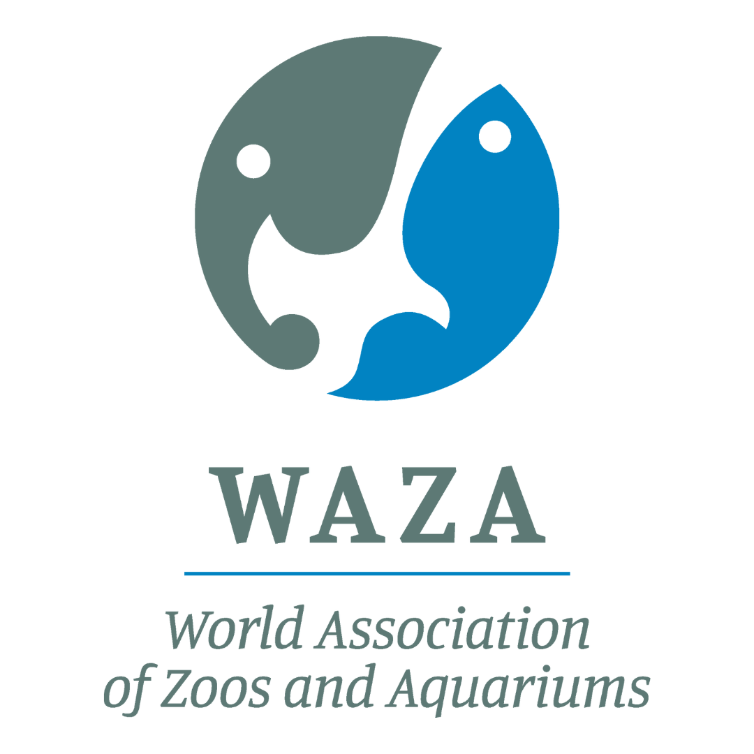 Accredited by the World Association of Zoos and Aquariums